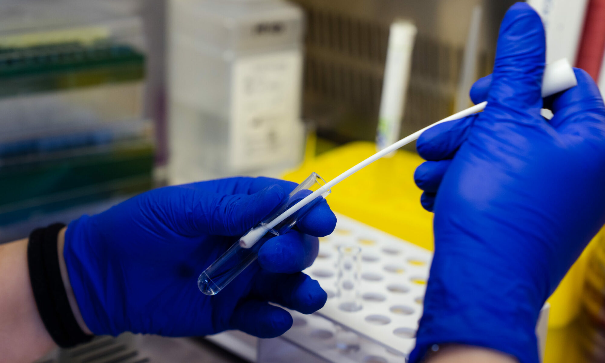 Provetta laboratorio