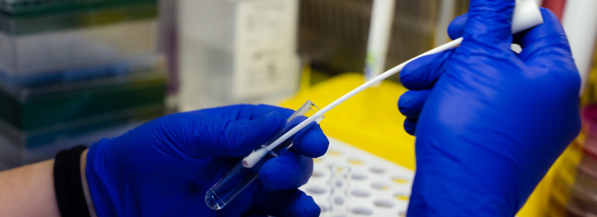 Provetta laboratorio